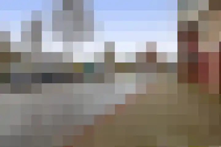 Mezenlaan 93 Dieren thumbnail 33