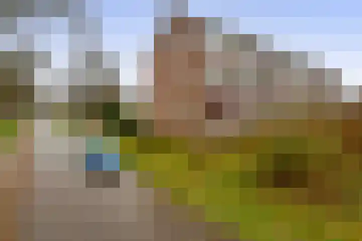 Mezenlaan 93 Dieren thumbnail 35