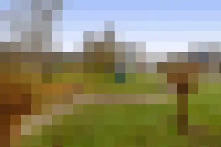 Mezenlaan 93 Dieren thumbnail 37