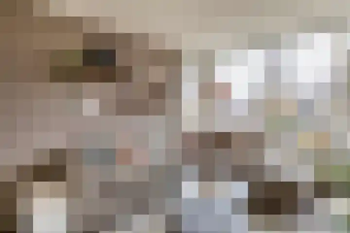 Mezenlaan 93 Dieren thumbnail 4