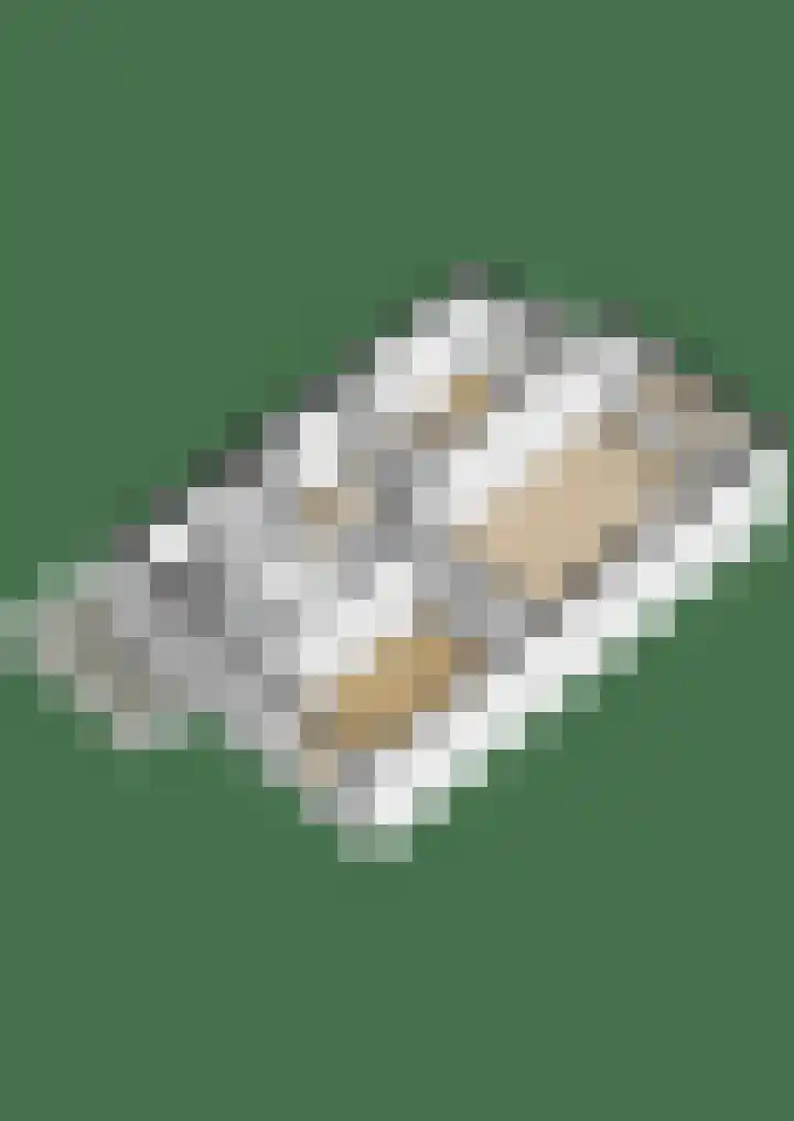 Mezenlaan 93 Dieren thumbnail 40