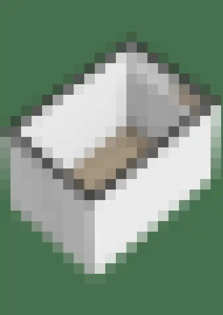 Mezenlaan 93 Dieren thumbnail 41