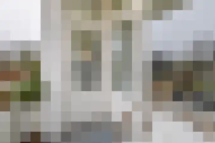Mezenlaan 93 Dieren thumbnail 7