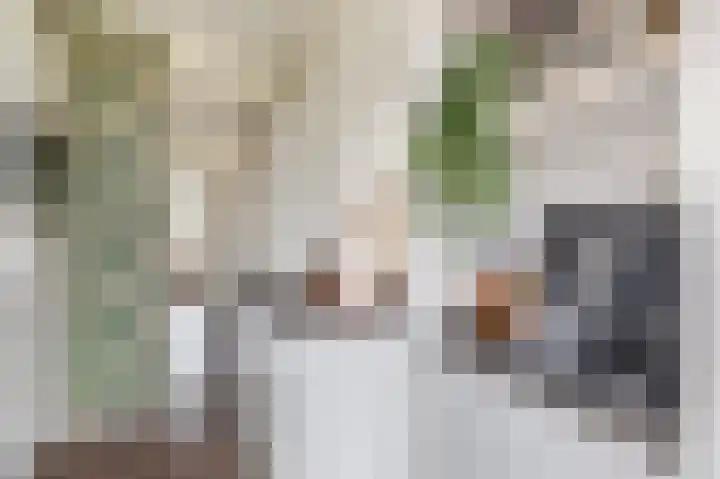 Mezenlaan 93 Dieren thumbnail 9