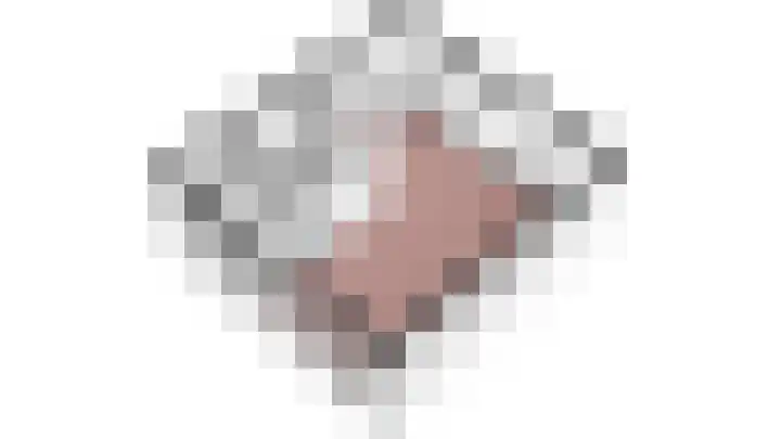 Mezenlaan 98 Dieren thumbnail 29