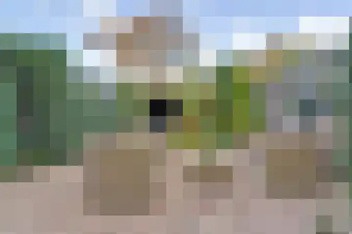 Mezenlaan 98 Dieren thumbnail 4