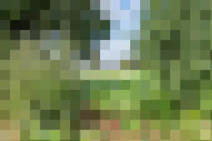 Mezenpad 124 Ulft thumbnail 37