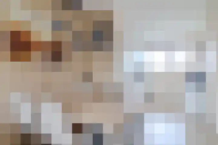 Mezenpad 14 Ilpendam thumbnail 10