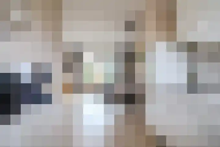 Mezenpad 14 Ilpendam thumbnail 13