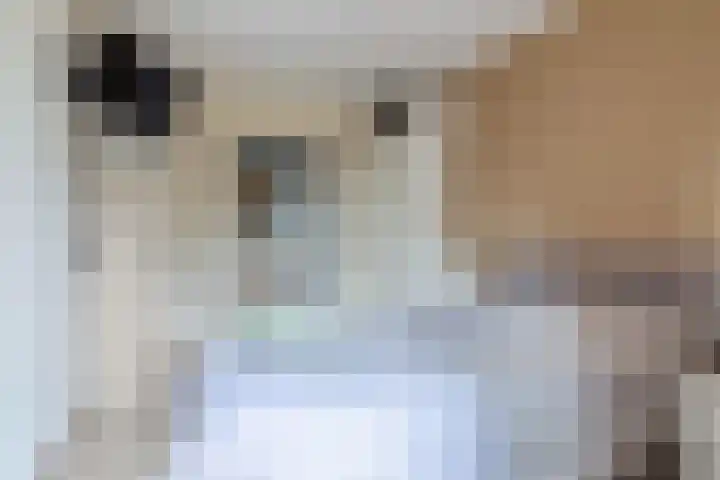 Mezenpad 14 Ilpendam thumbnail 14