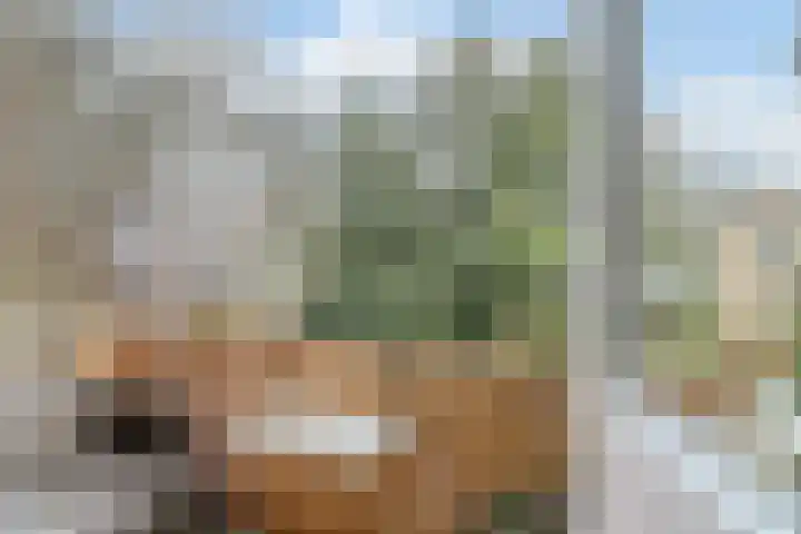 Mezenpad 14 Ilpendam thumbnail 20