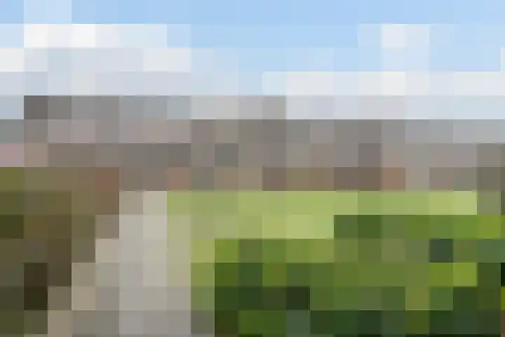 Mezenpad 14 Ilpendam thumbnail 22