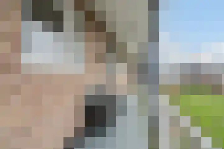 Mezenpad 14 Ilpendam foto 3