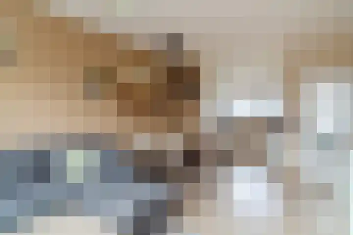Mezenpad 14 Ilpendam thumbnail 9