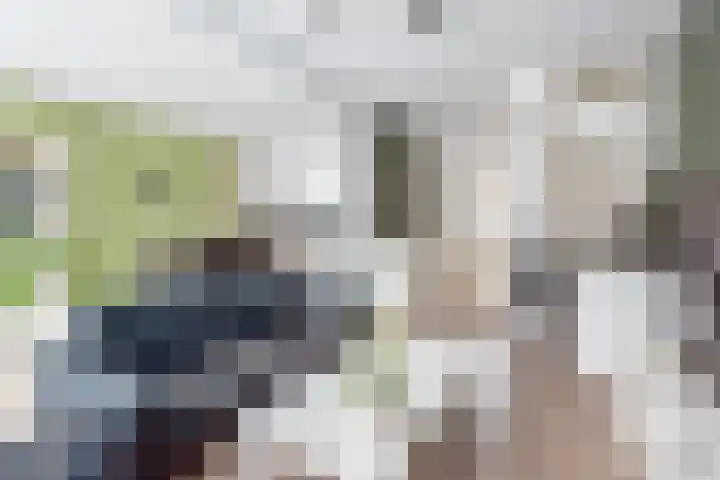 Mezenpad 14 Ulft thumbnail 12