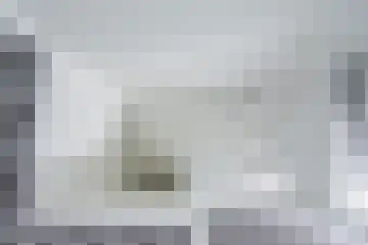 Mezenpad 14 Ulft thumbnail 31