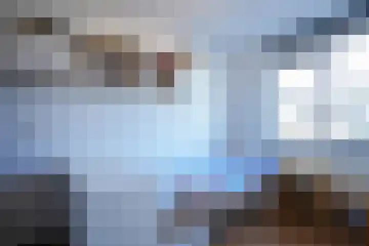 Mezenpad 16 en Ulft