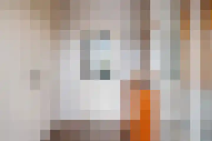 Mezenpad 16 Ulft thumbnail 10