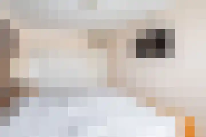 Mezenpad 16 Ulft thumbnail 27