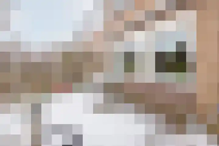 Mezenpad 16 Ulft thumbnail 37