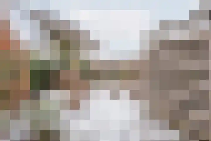 Mezenpad 16 Ulft thumbnail 40