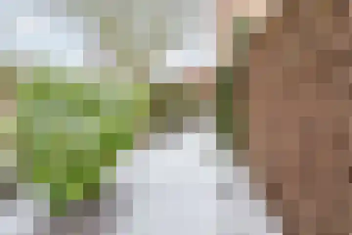 Mezenpad 16 Ulft thumbnail 41