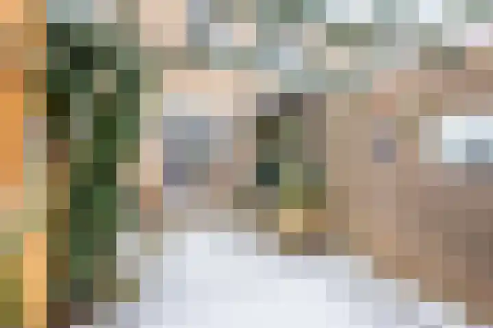 Mezenpad 16 Ulft thumbnail 8