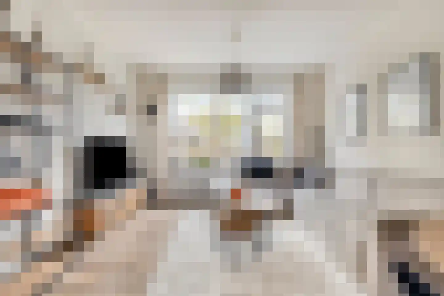 Mezenpad 24 Ilpendam thumbnail 16