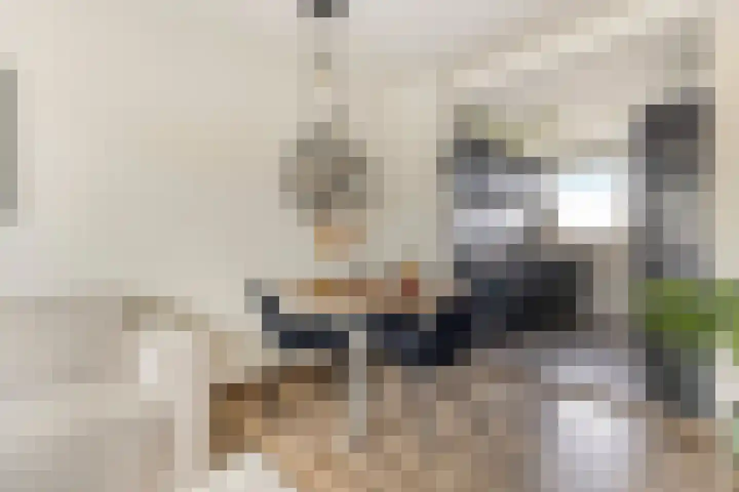 Mezenpad 24 Ilpendam thumbnail 17
