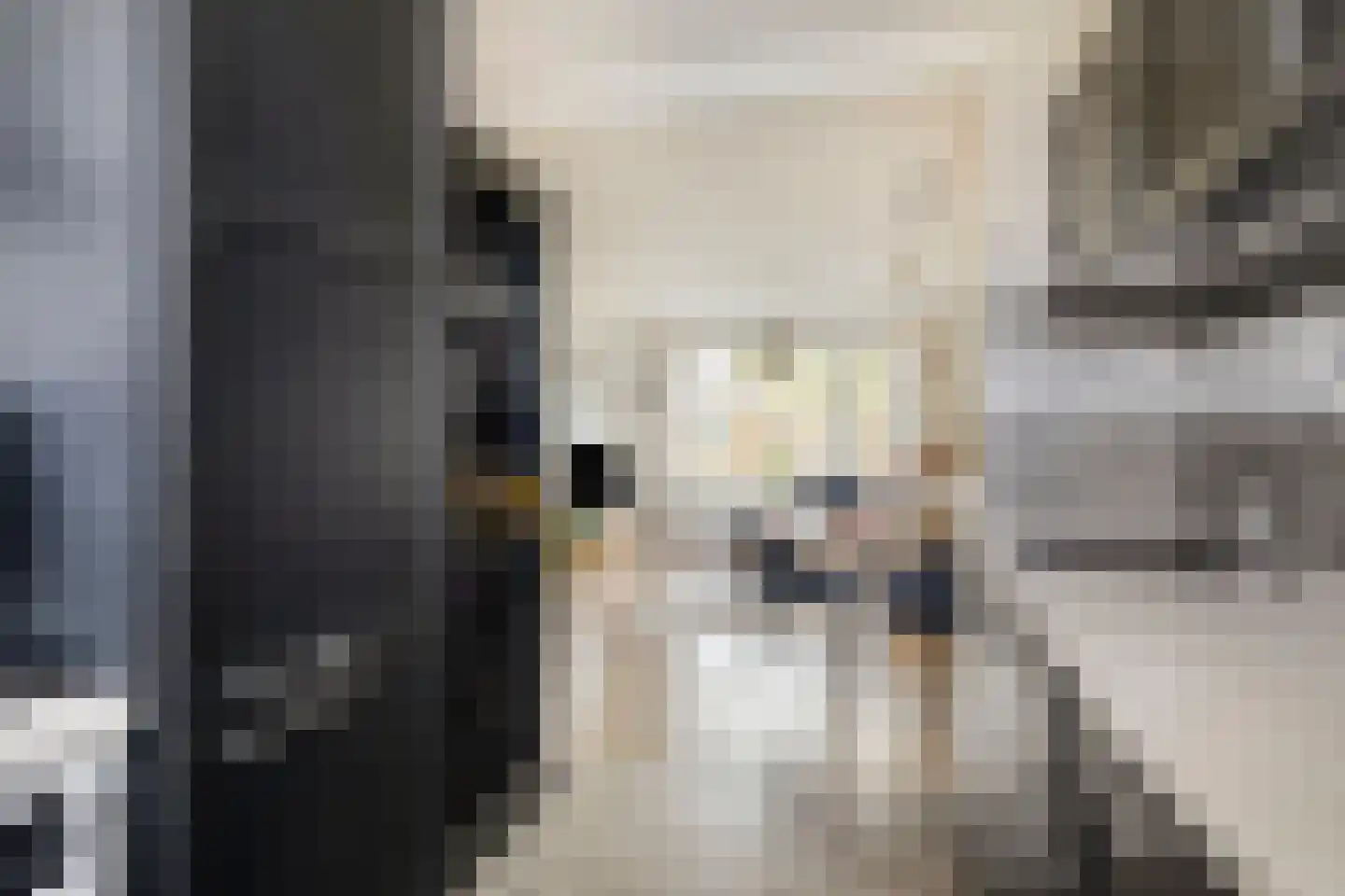 Mezenpad 24 Ilpendam thumbnail 21