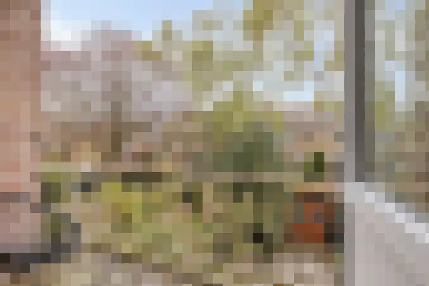 Mezenpad 24 Ilpendam thumbnail 28