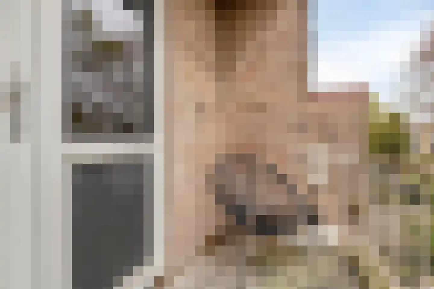 Mezenpad 24 Ilpendam thumbnail 29