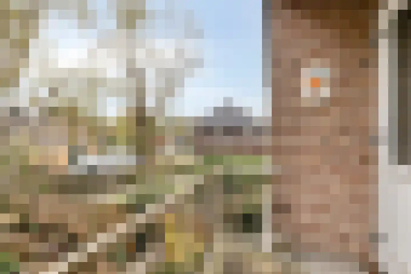 Mezenpad 24 Ilpendam thumbnail 30