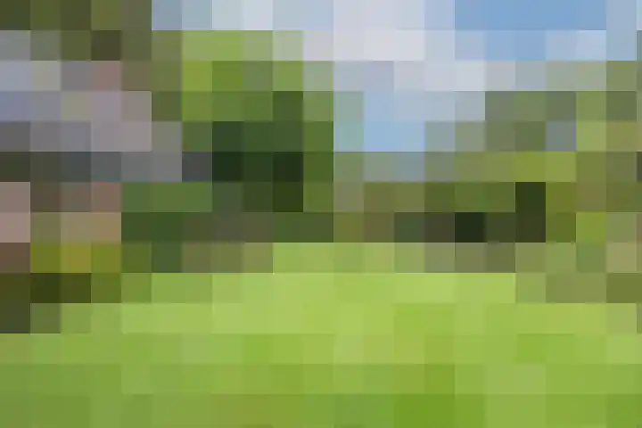 Mezenpad 4 Ulft thumbnail 11
