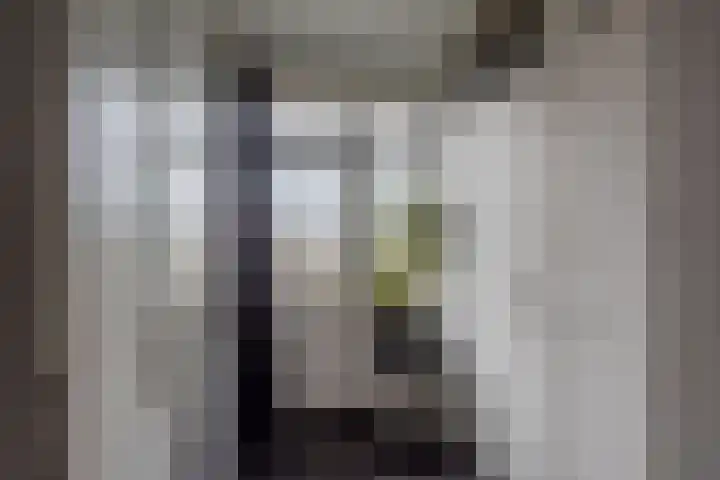Mezenpad 4 Ulft thumbnail 12
