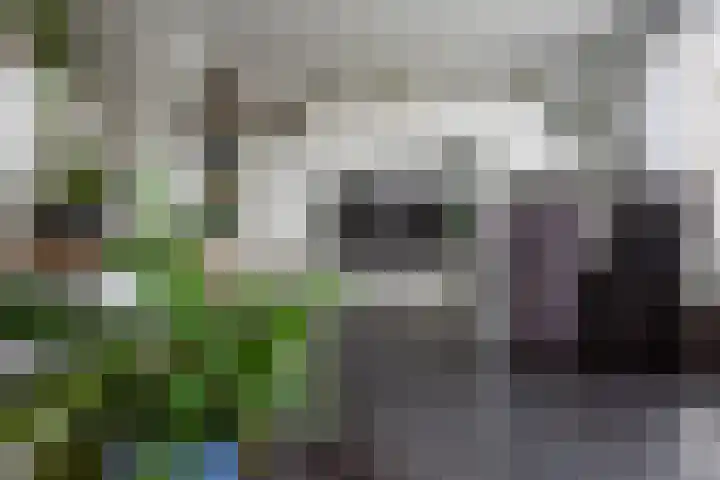 Mezenpad 4 Ulft thumbnail 17