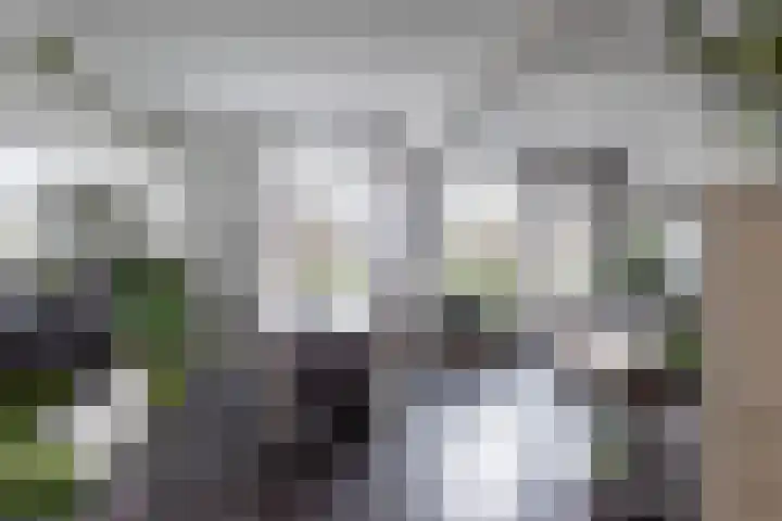 Mezenpad 4 Ulft foto 2