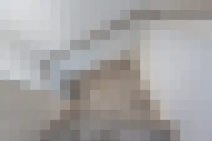 Mezenpad 4 Ulft thumbnail 23