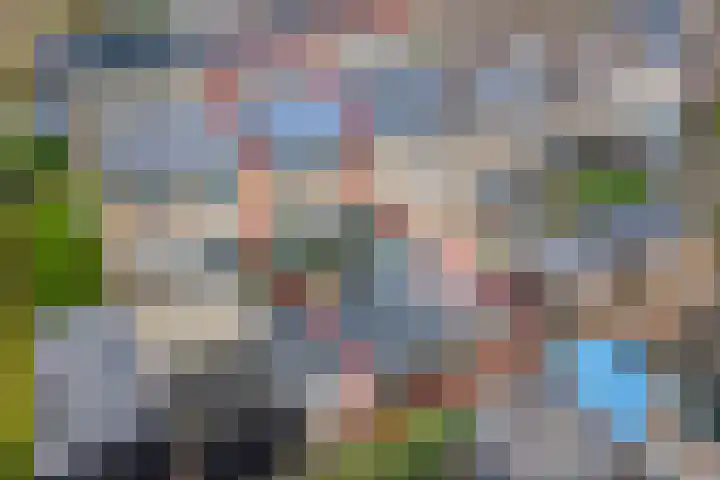 Mezenpad 4 Ulft thumbnail 4