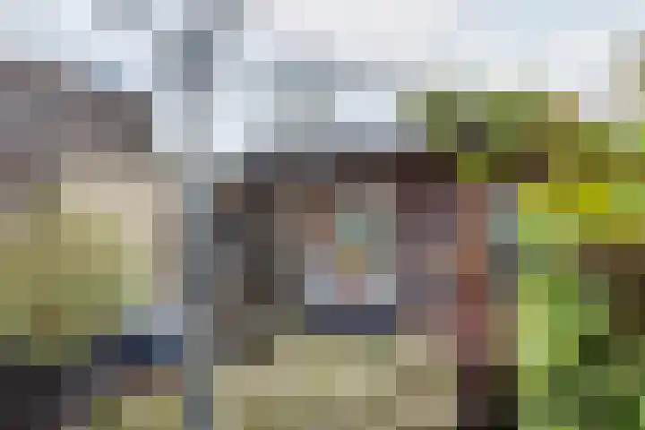 Mezenpad 4 Ulft thumbnail 44