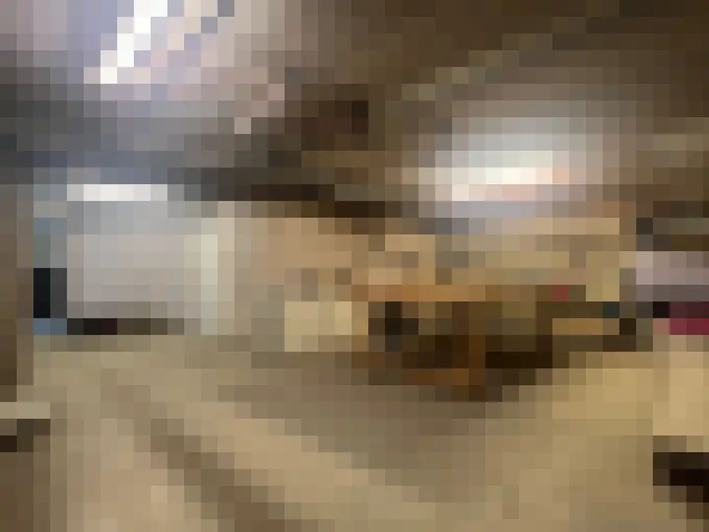 Mezenpad 4 Ulft thumbnail 7