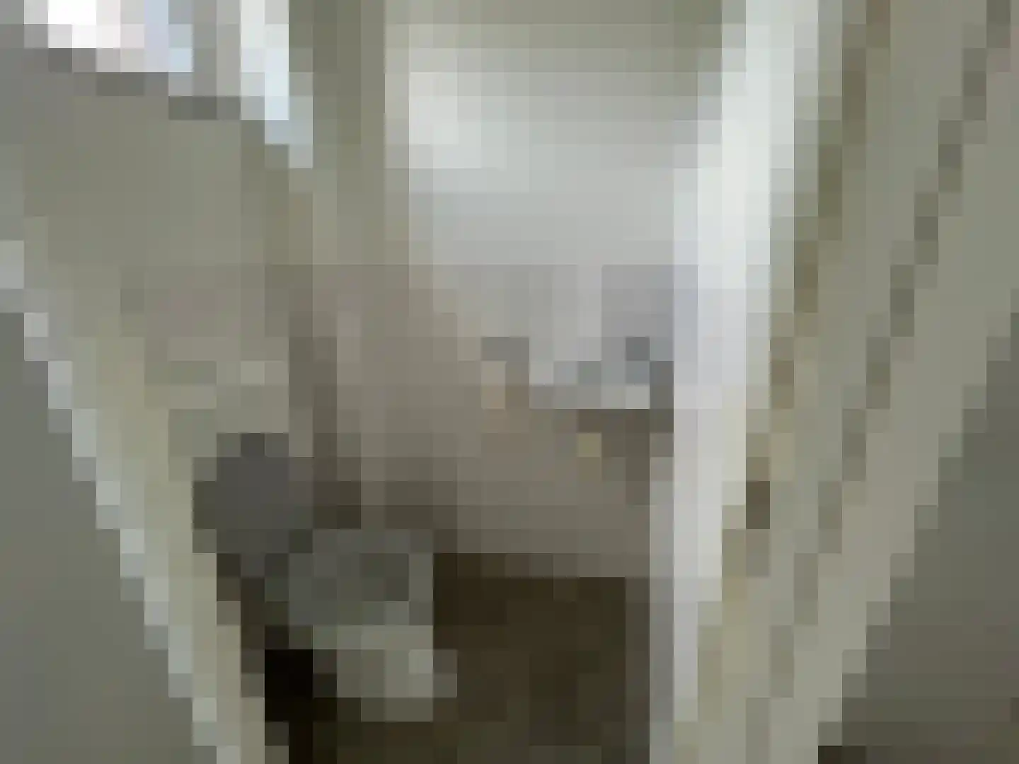Mezenpad 9 Ulft thumbnail 6