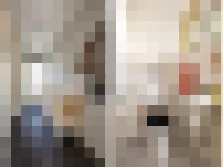 Mezenstraat 10 Gorssel thumbnail 13
