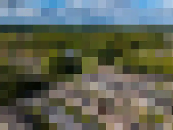 Mezenstraat 10 Gorssel thumbnail 24
