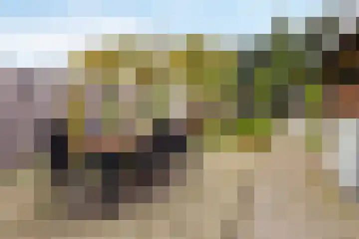Mezenstraat 15 Geleen thumbnail 20