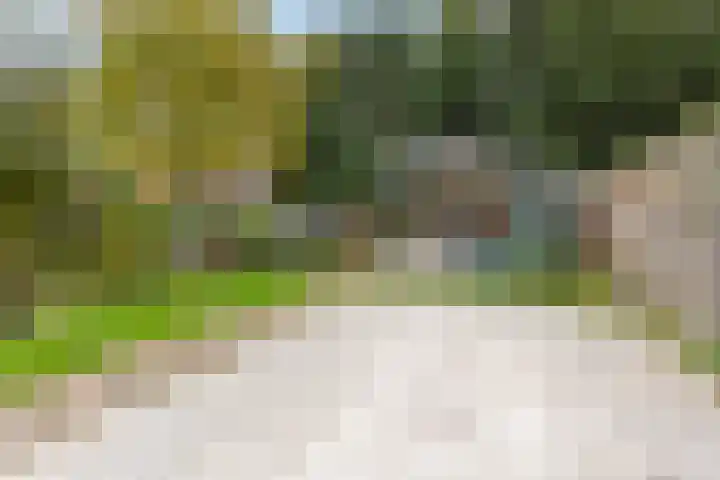 Mezenstraat 15 Geleen thumbnail 21