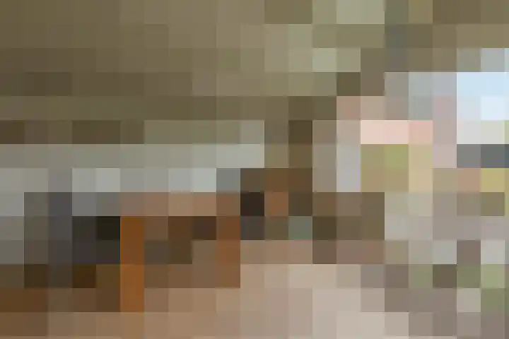 Mezenstraat 15 Geleen thumbnail 22