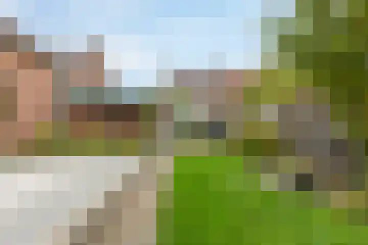 Mezenstraat 15 Geleen thumbnail 23