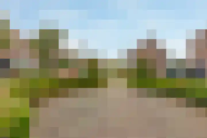 Mezenstraat 15 Geleen thumbnail 4
