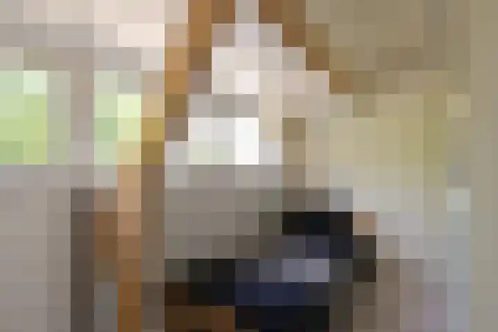 Mezenstraat 16 Hilversum thumbnail 11
